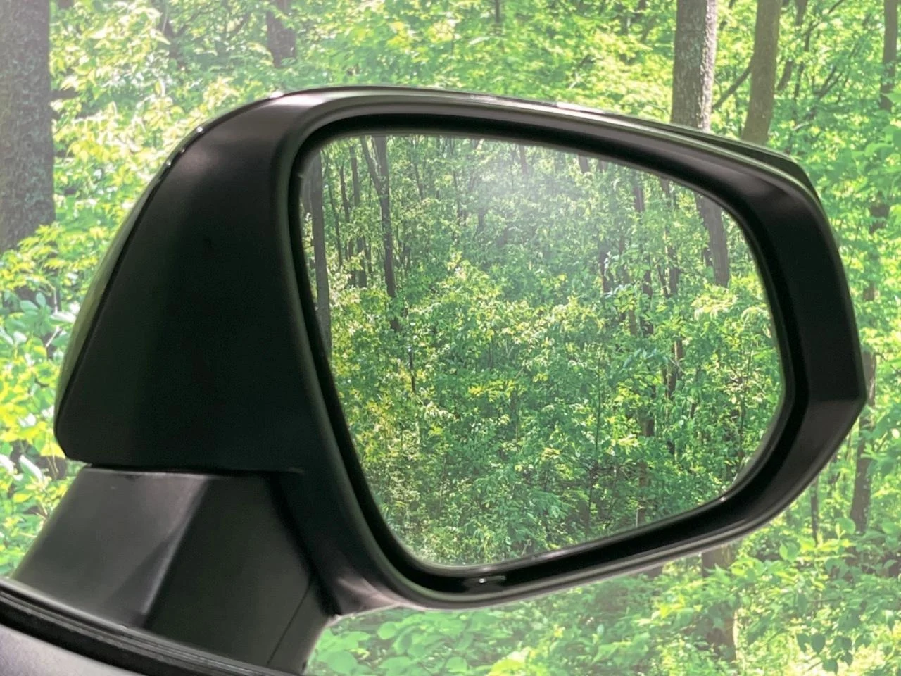 imgi_209_0541461A20251002Q00355