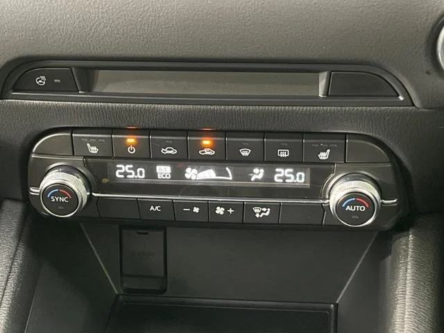 imgi_23_0903650A20250919Q00234