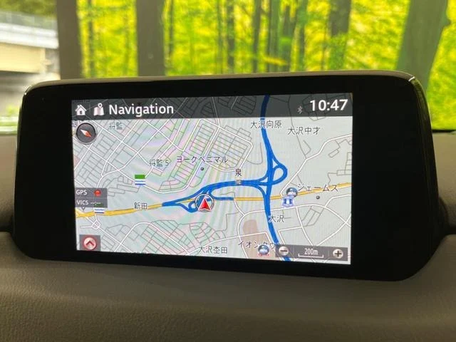 imgi_257_0903650A20250919Q00202