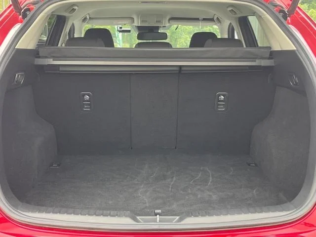 imgi_264_0903650A20250919Q00209