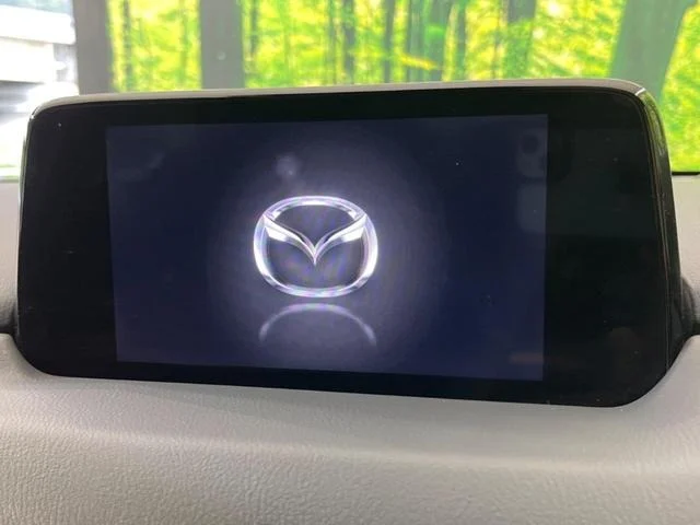 imgi_274_0903650A20250919Q00244