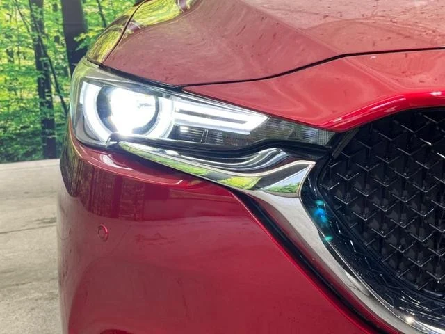 imgi_276_0903650A20250919Q00246