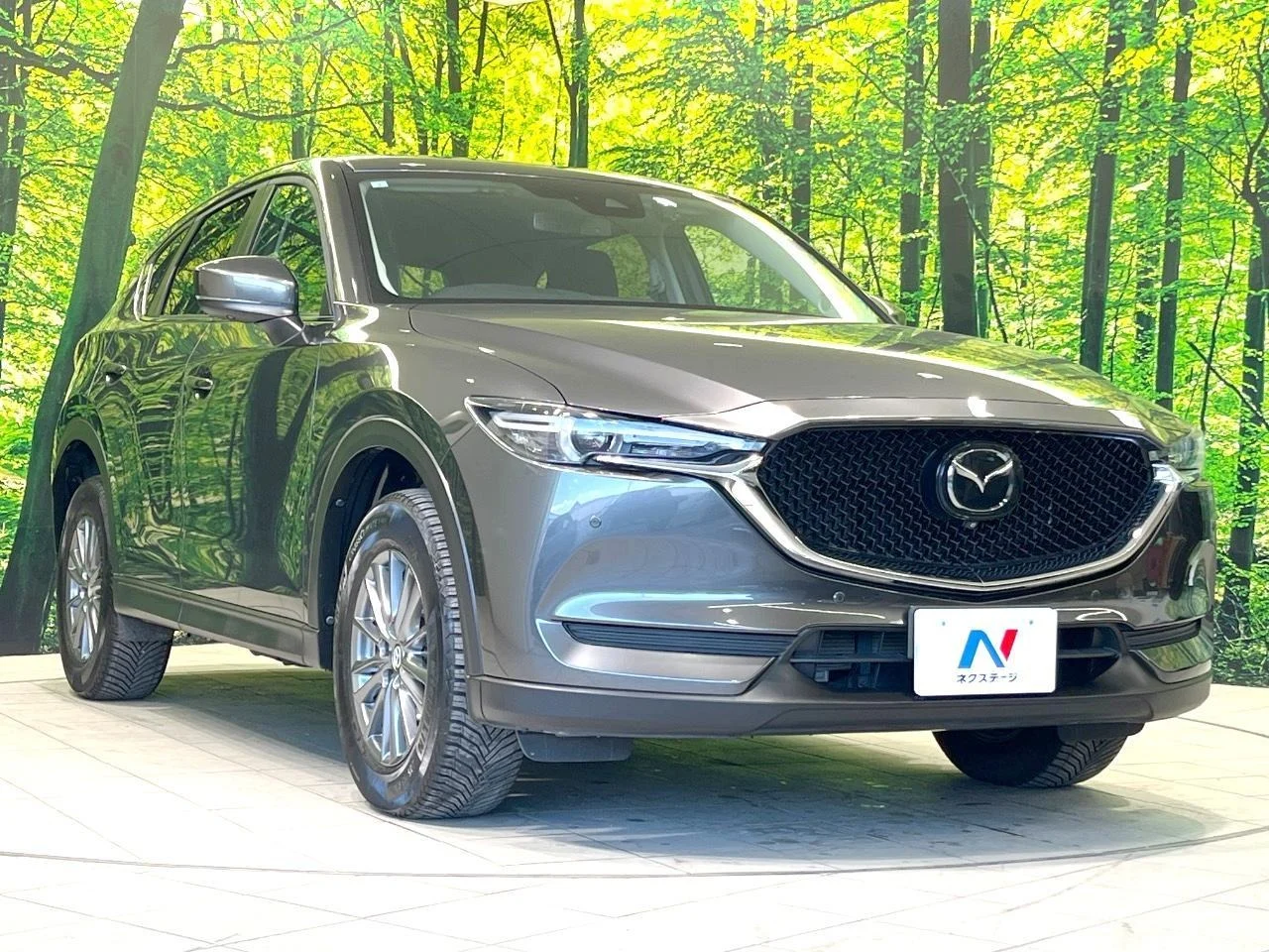 Inventory - Enan Motors