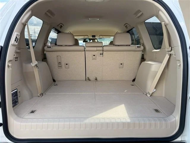 0805015A20260110G00211