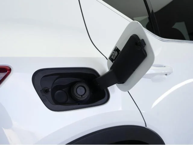 1002529A30251223W00229