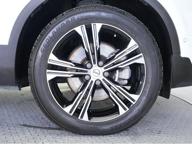 1002529A30251223W00230