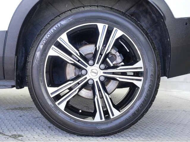 1002529A30251223W00240