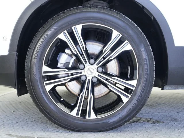 1002529A30251223W00241