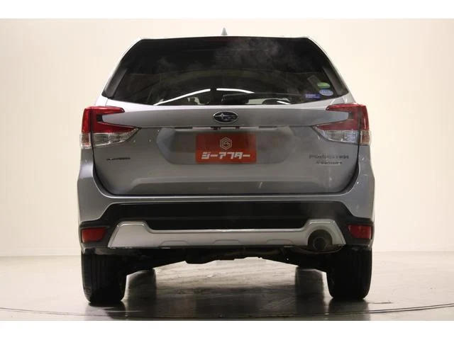 3000917A30251102W00111