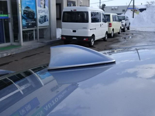 0302953A30260204W00620