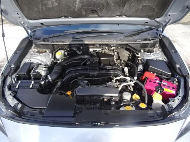 0302953A30260204W00621