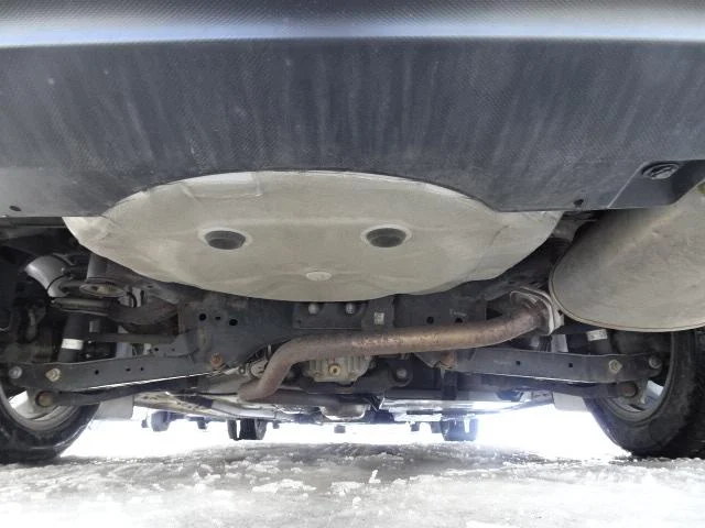 0302953A30260204W00670