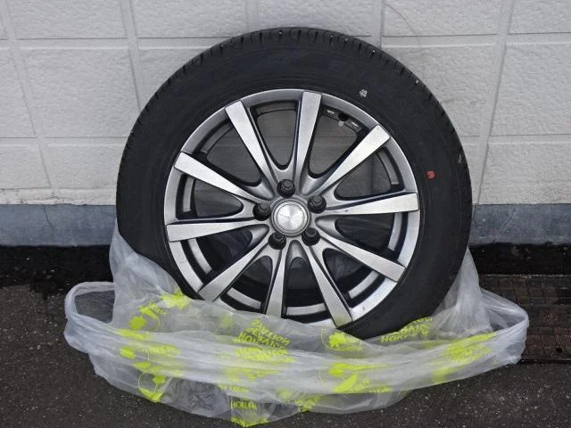 0302953A30260204W00678