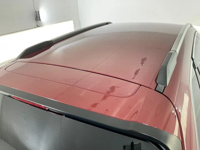 0504839A30251031W00109