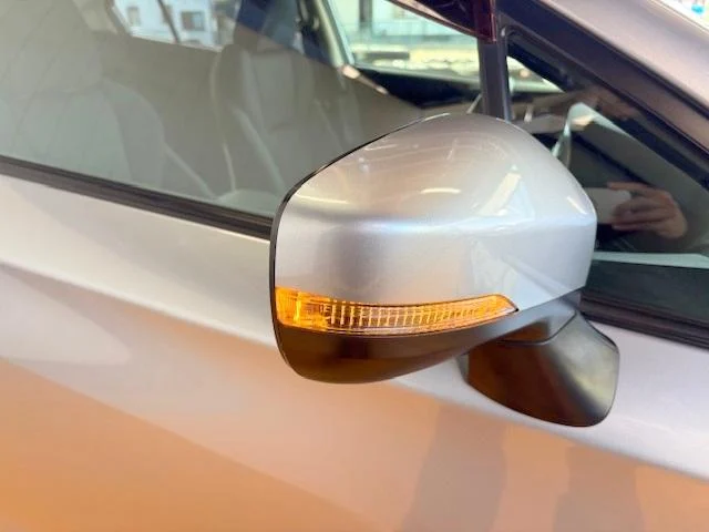 0560069A20260120W00217