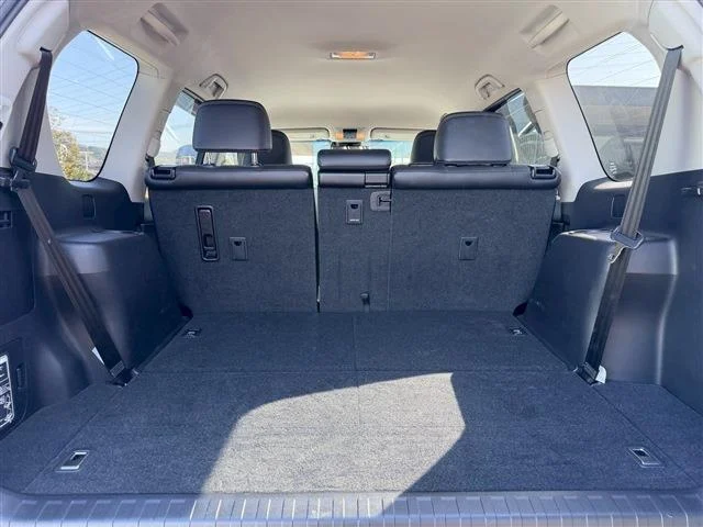 0805015A20260129G00817