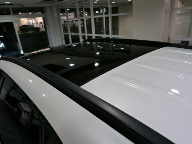 9510212A30260213W00223