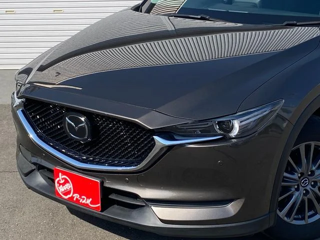 0203428A30260216W00213