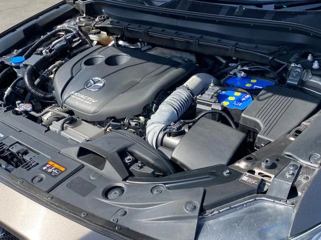 0203428A30260216W00222