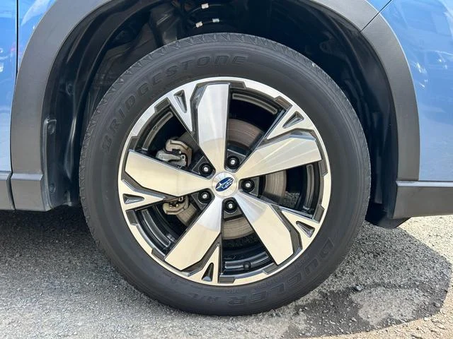 0561411A30260406W00466