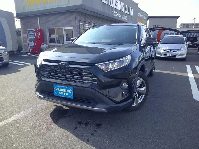 2019 Toyota Rav4 G